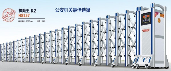 神鷹王K2H8137